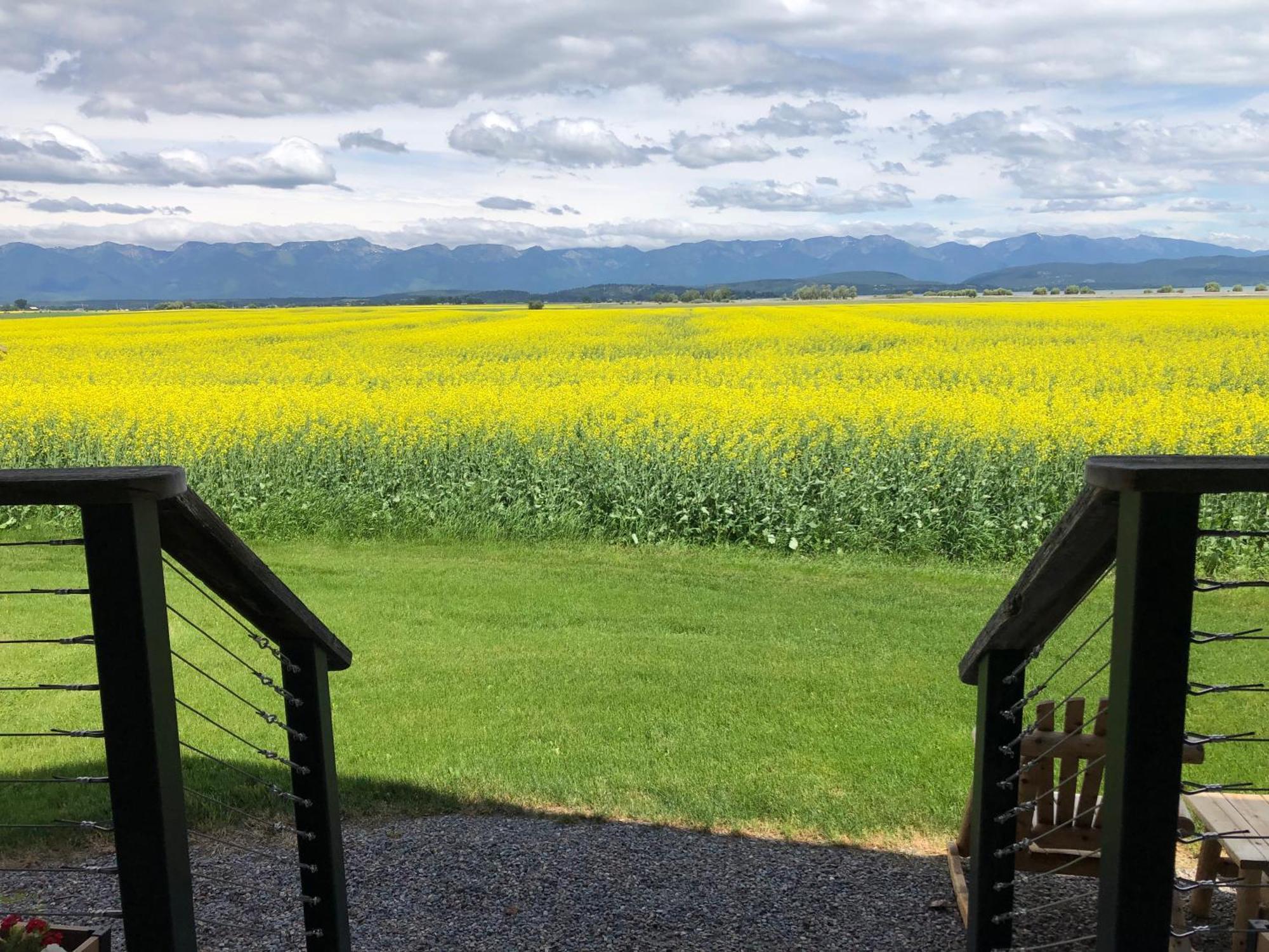New Cabin With Spectacular Views Of Flathead Lake. Somers Eksteriør bilde